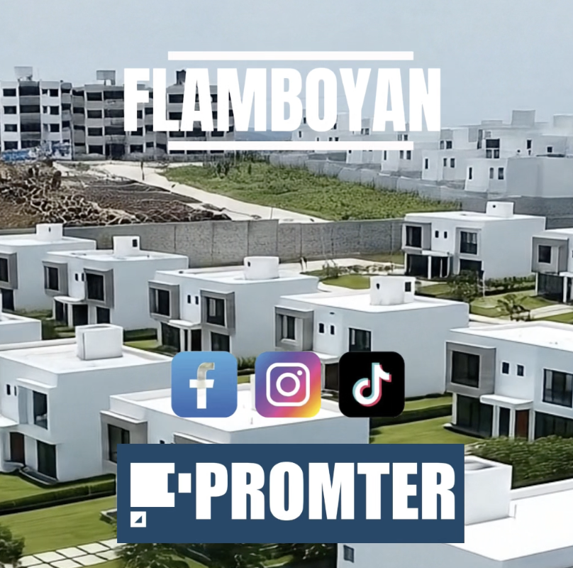 flamboyan -morelia-promter